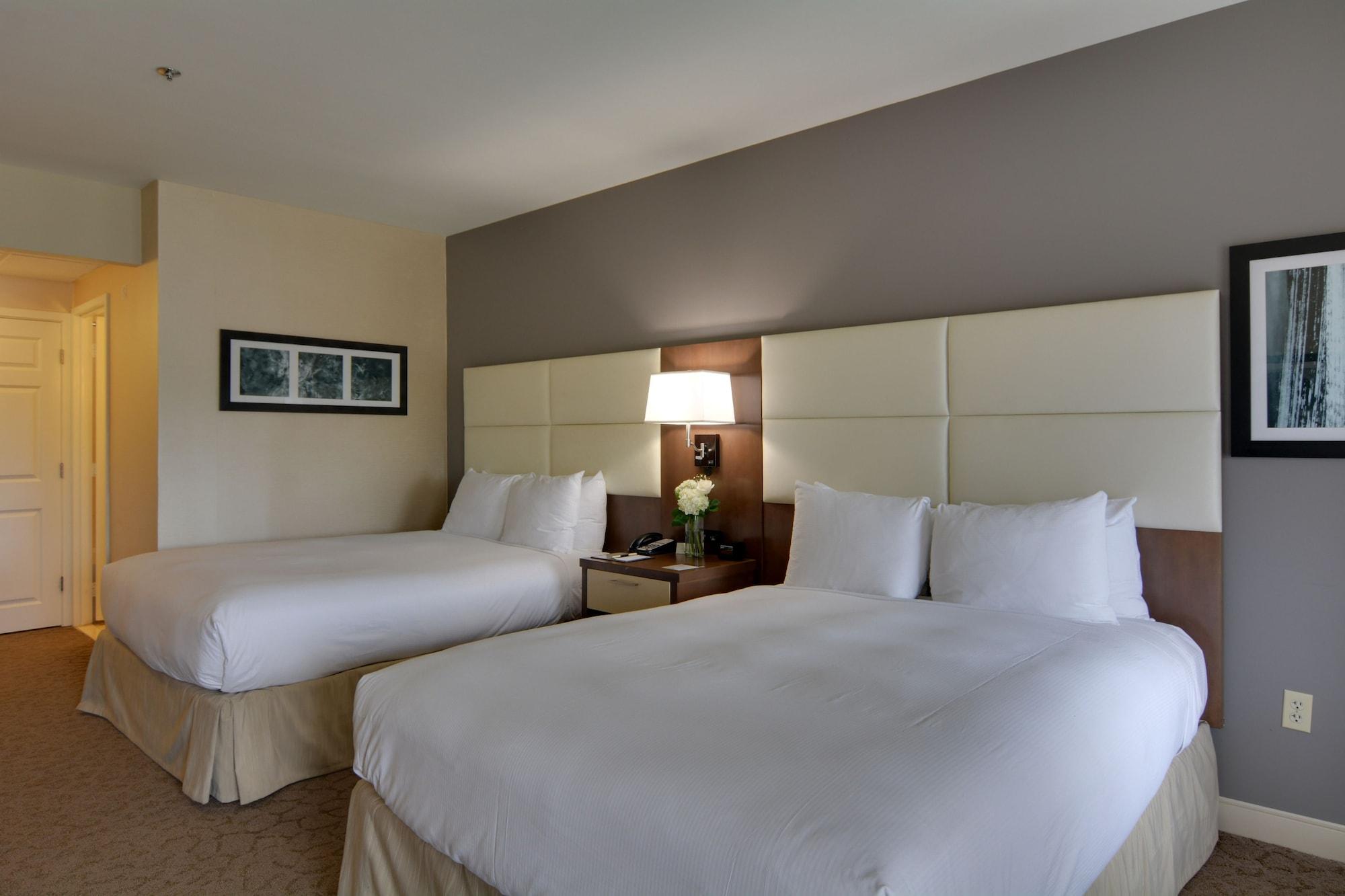Hotel Doubletree By Hilton Williamsburg