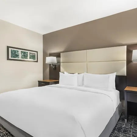 Doubletree By Hilton Hotel Williamsburg Exterior photo